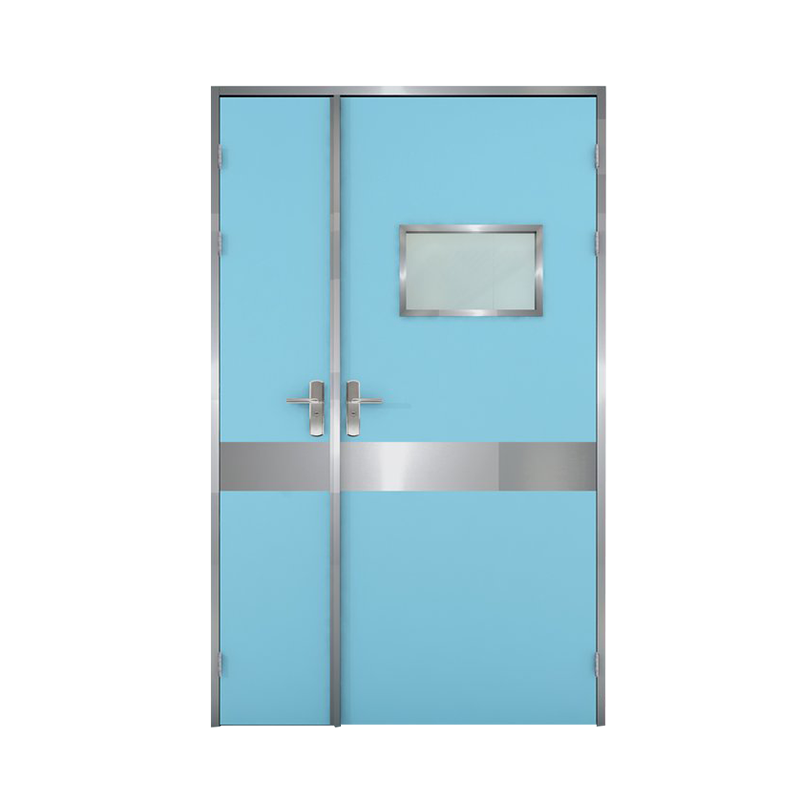 Steel Cleanroom Doors (1)